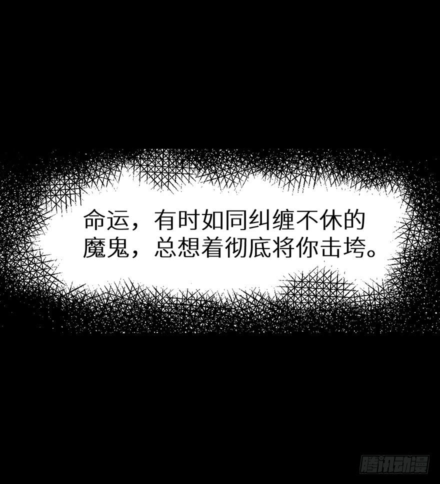010猫奴的前世记忆40