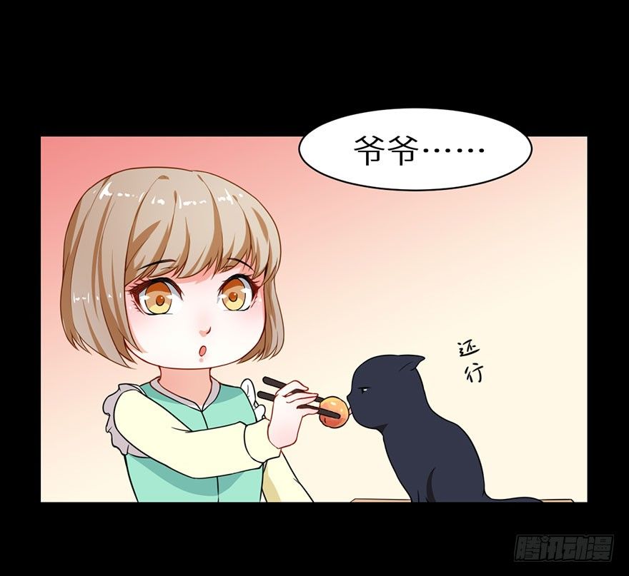010猫奴的前世记忆27