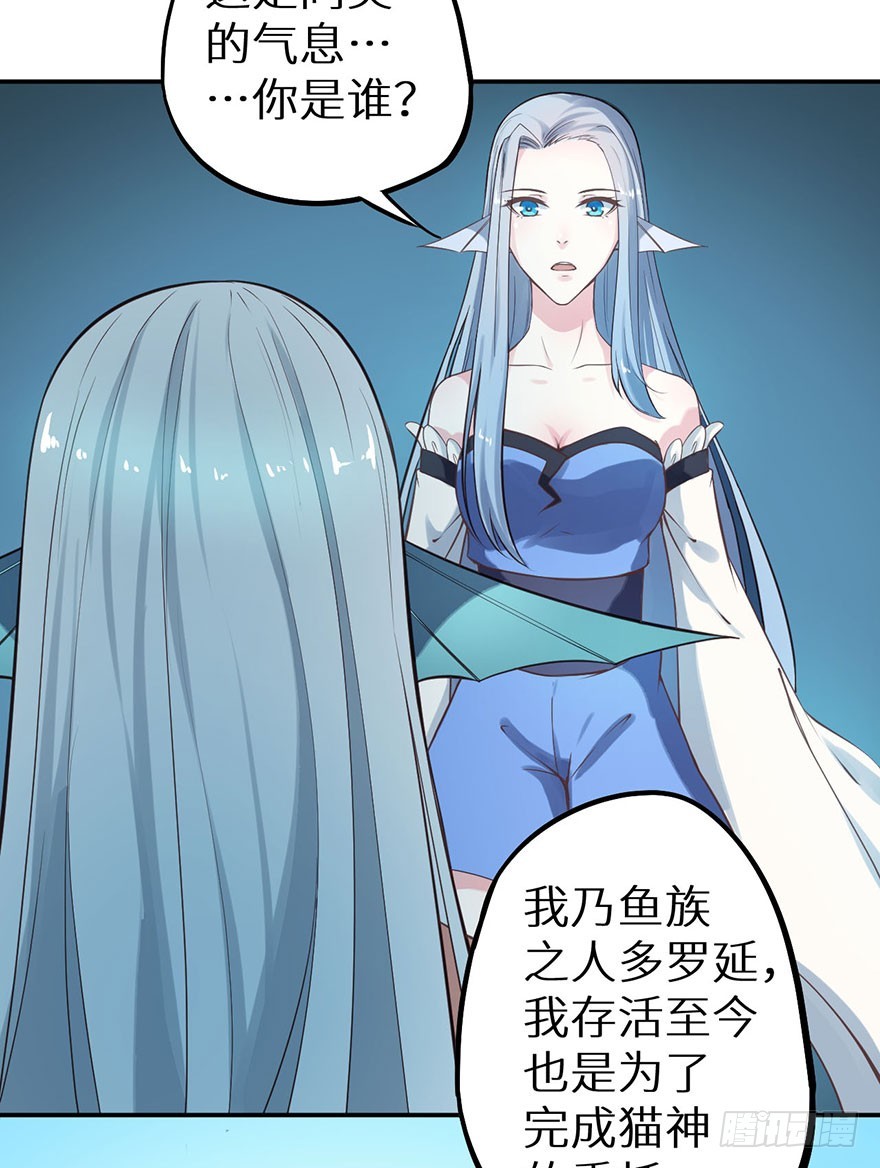 119猫神记忆碎片16