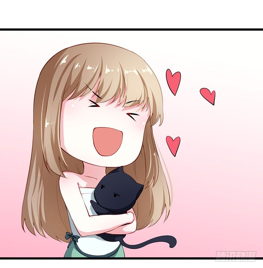028爱猫不爱人36