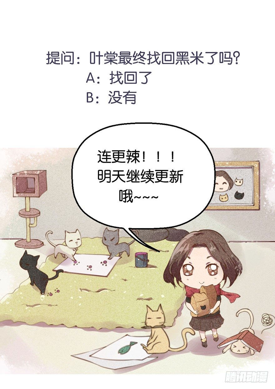 010猫奴的前世记忆47
