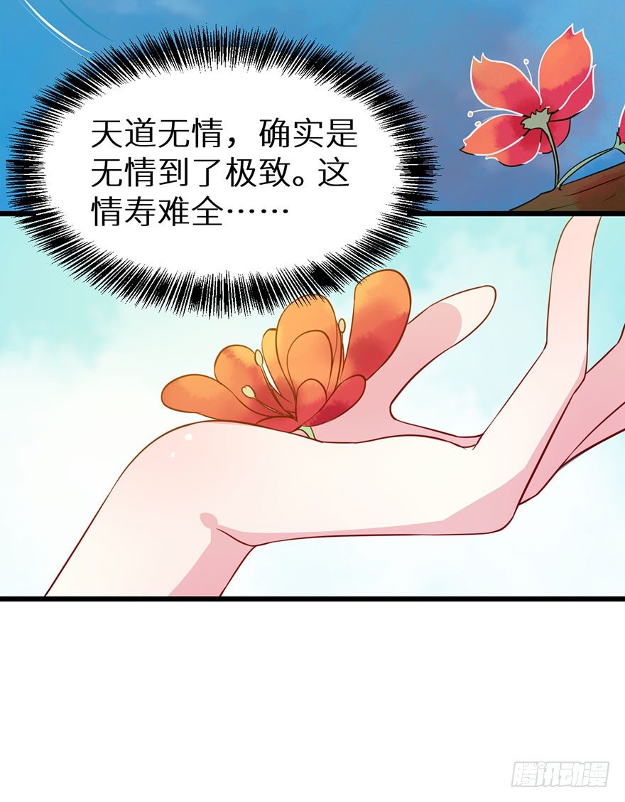 017情寿难全37