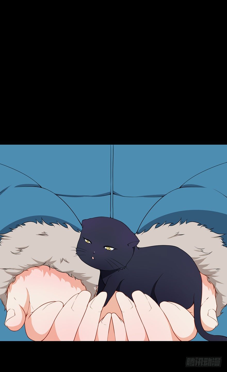 010猫奴的前世记忆17
