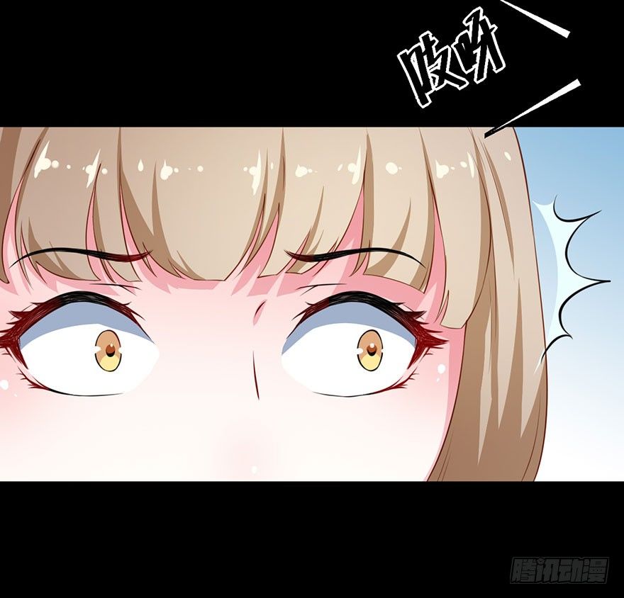 028爱猫不爱人18