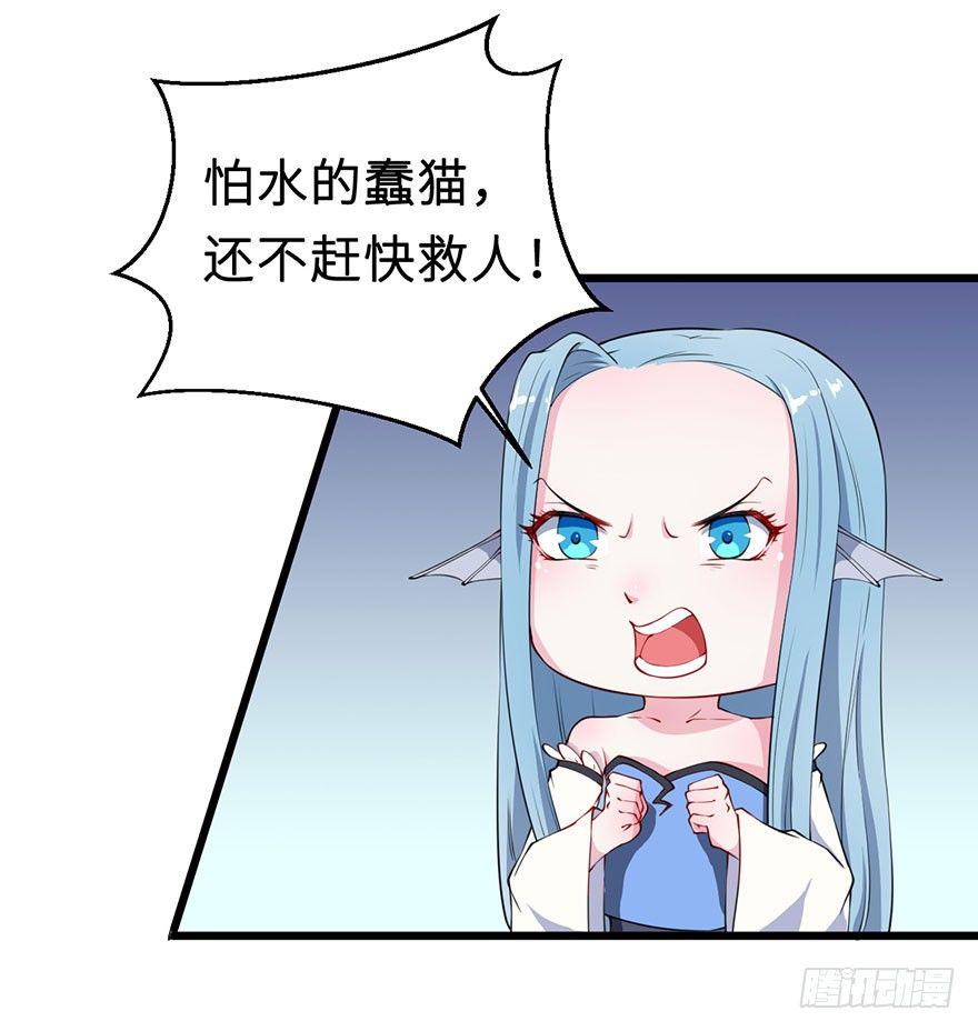028爱猫不爱人11