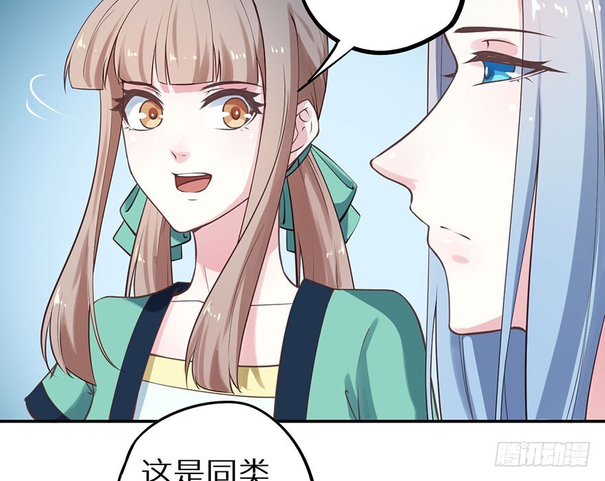 119猫神记忆碎片15