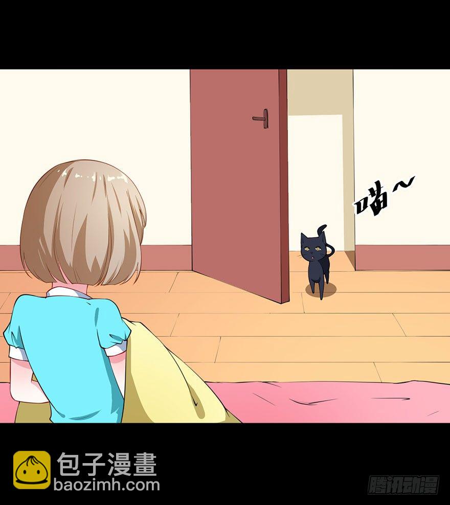 028爱猫不爱人19