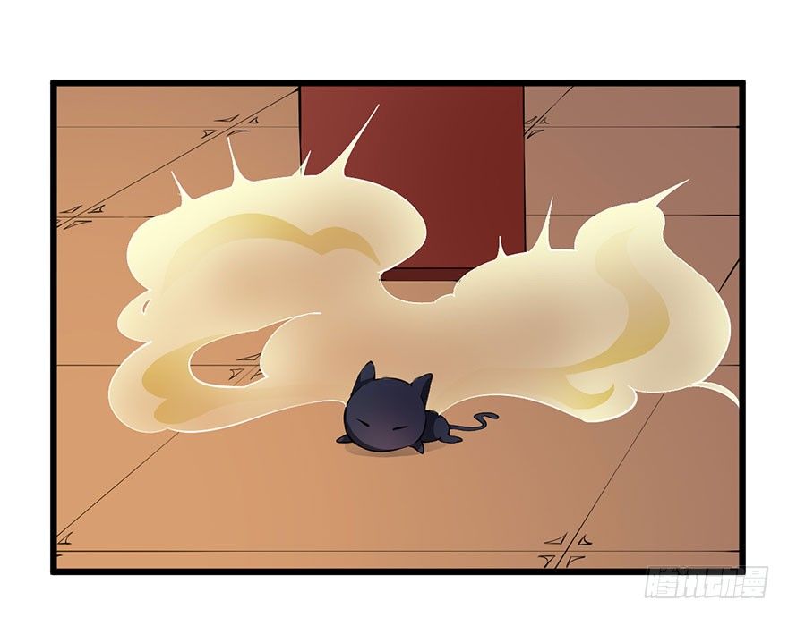 028爱猫不爱人34