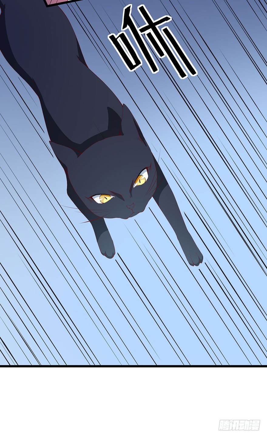 046猫爪救美5