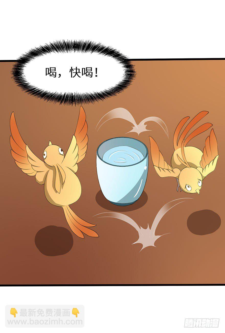 019送礼物的小鸟37