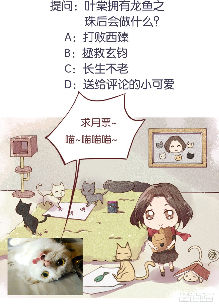 119猫神记忆碎片47