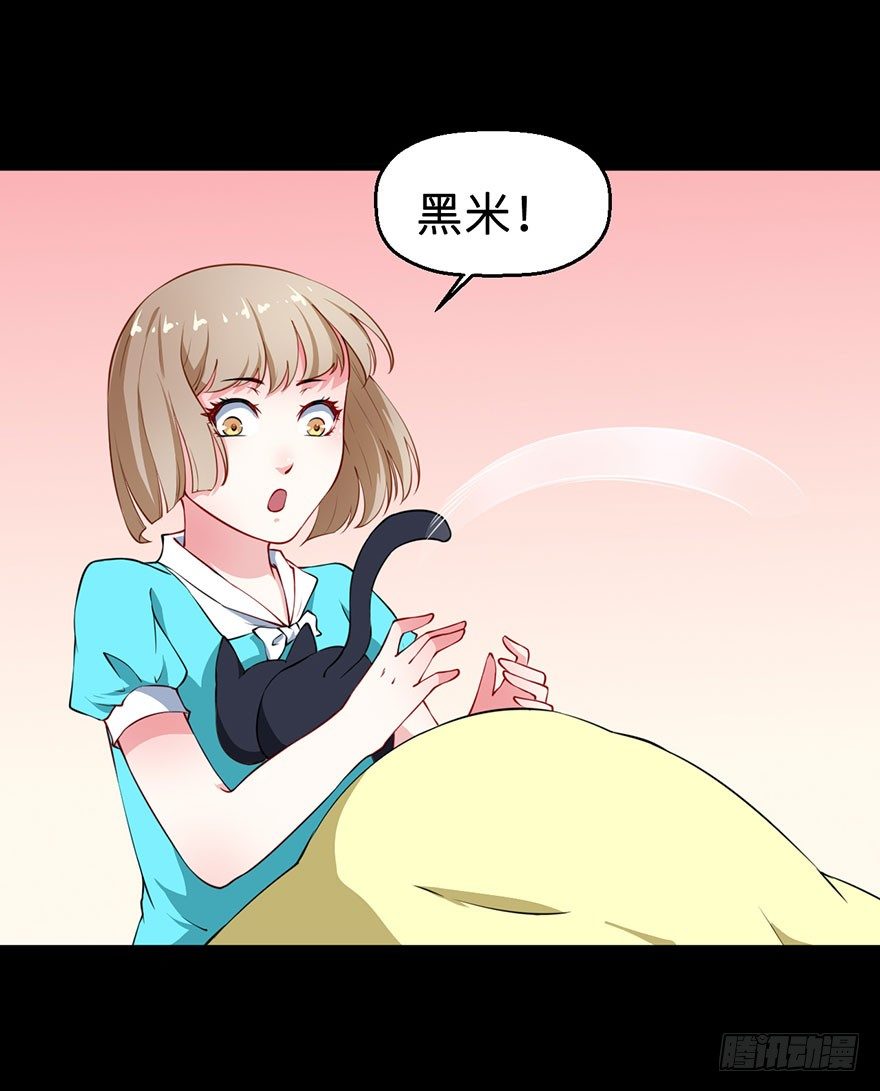 028爱猫不爱人20