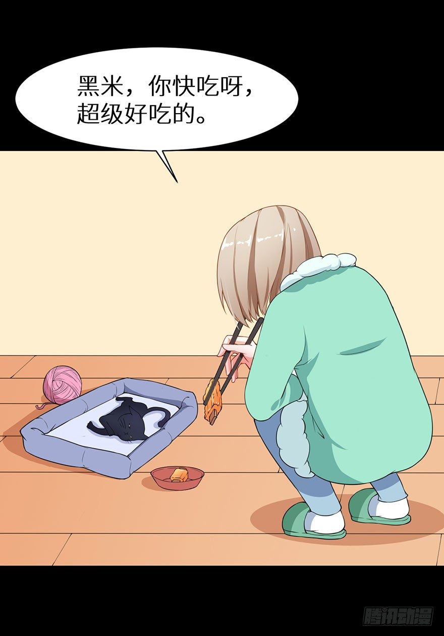010猫奴的前世记忆20