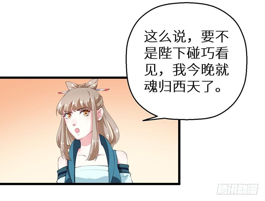 046猫爪救美27
