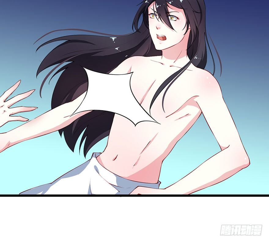 028爱猫不爱人32