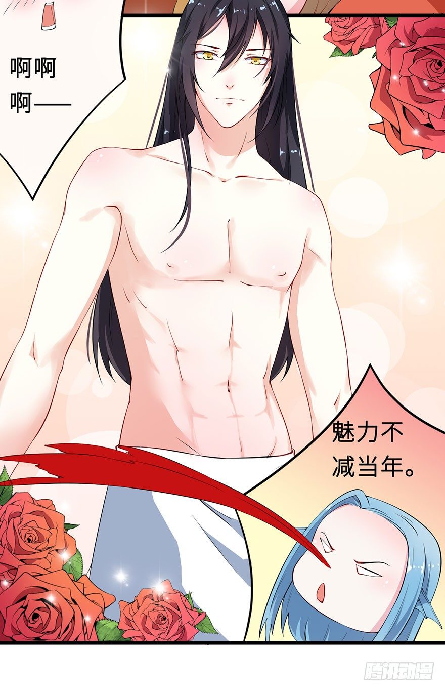 028爱猫不爱人28