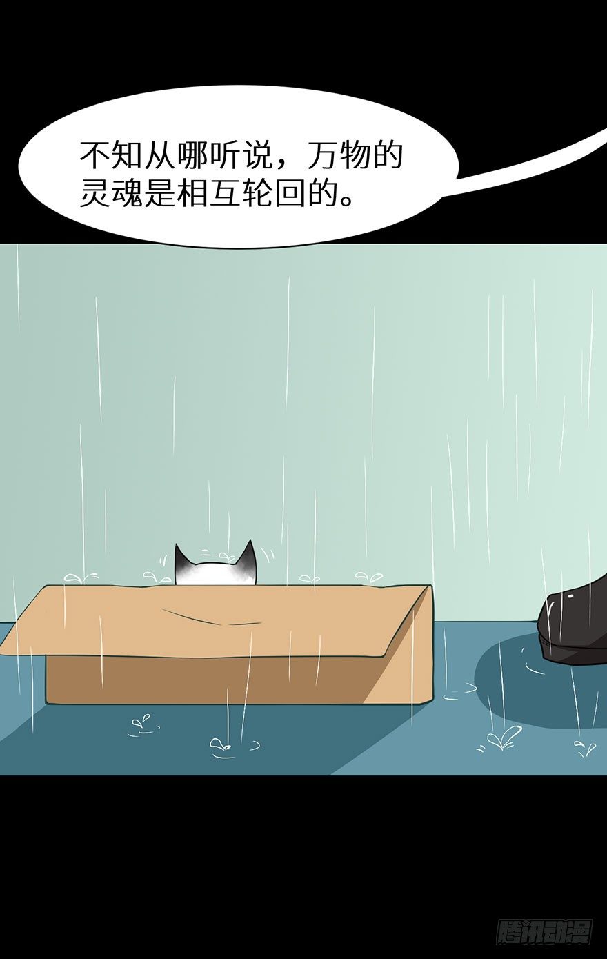 010猫奴的前世记忆44