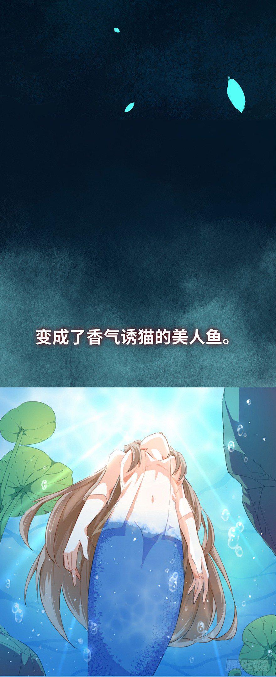 预告4