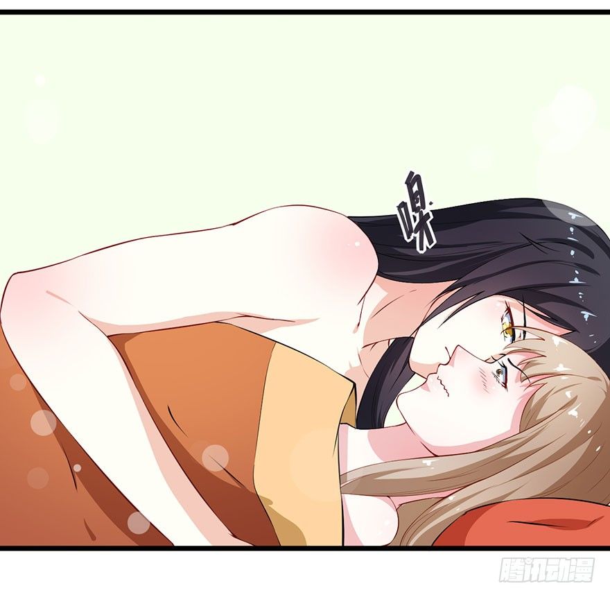 028爱猫不爱人30