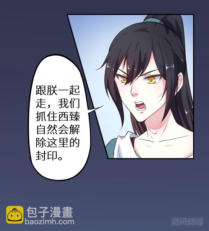 119猫神记忆碎片5