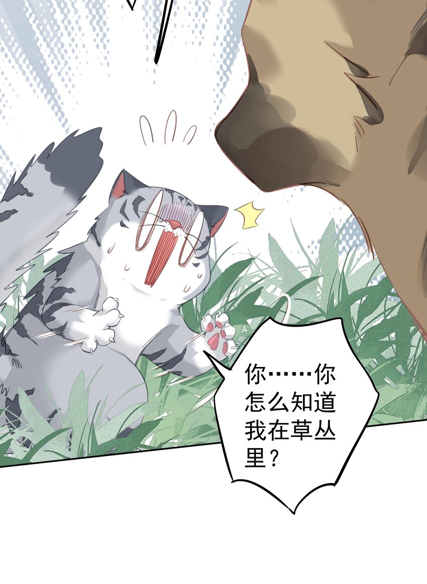 046你老公是伯爵啊46