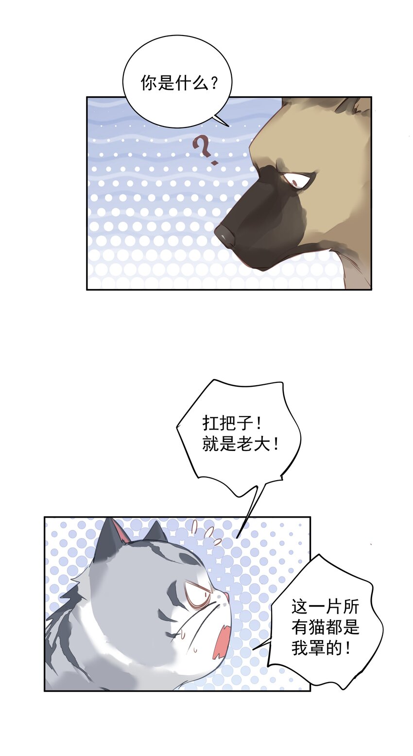 047白玉狸去上学4