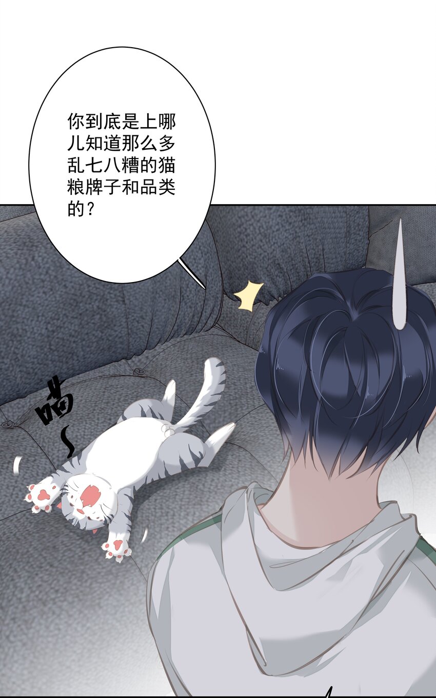 044众筹猫粮2