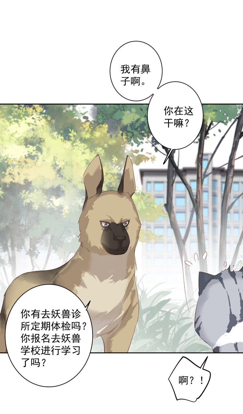 047白玉狸去上学2