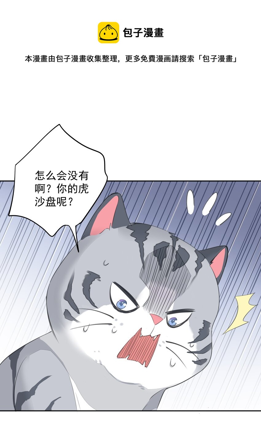 035 rua~老虎毛的手感60