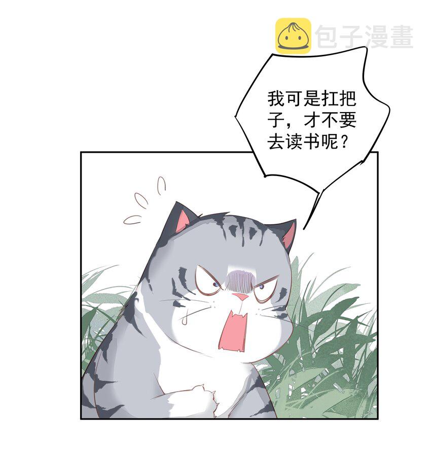 047白玉狸去上学3