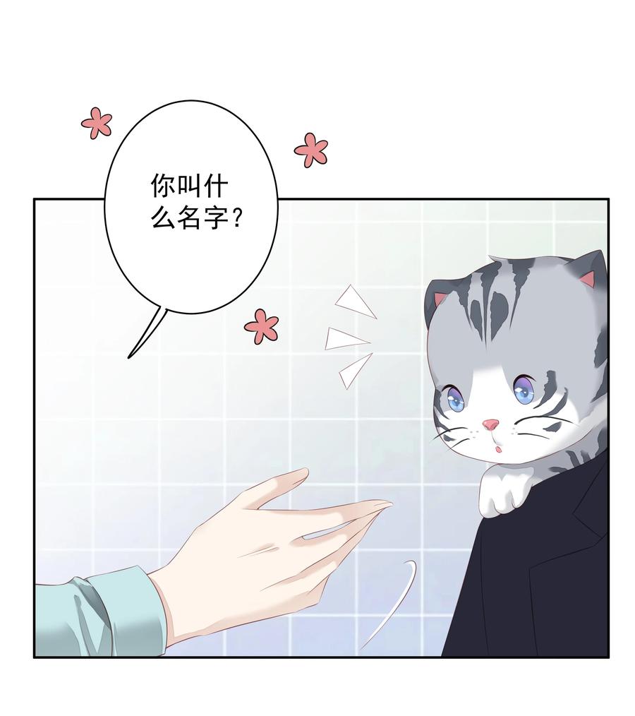 022 白玉狸31