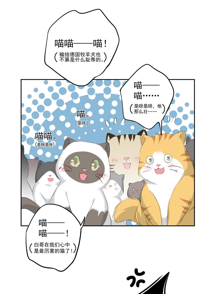 035 rua~老虎毛的手感51