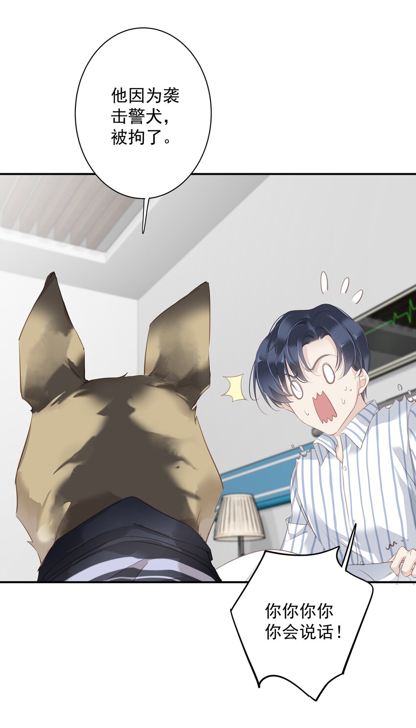 036 黑背出场！43