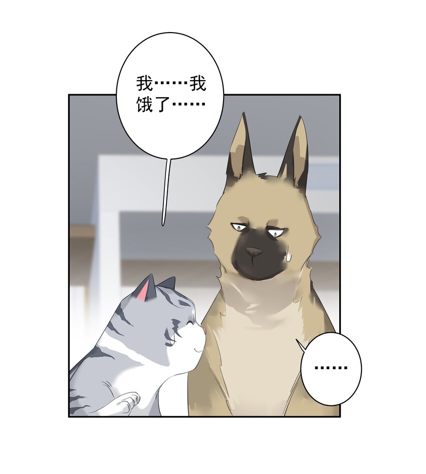 054 狂萌！是我阿彪儿（番外）22