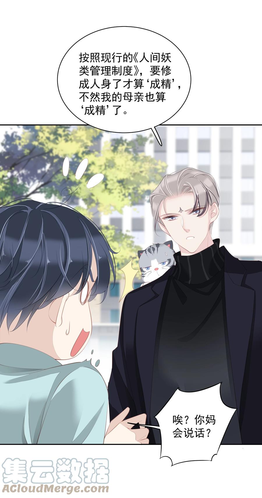 022 白玉狸26