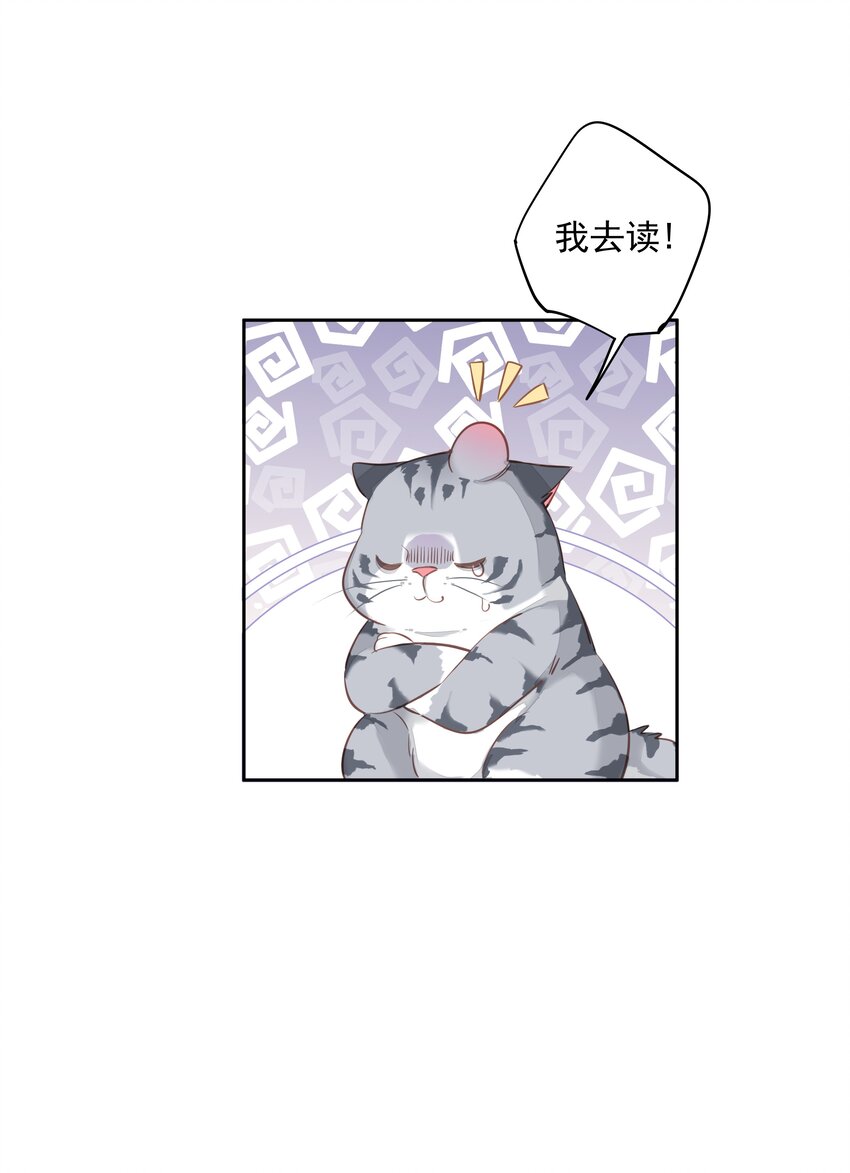 047白玉狸去上学22