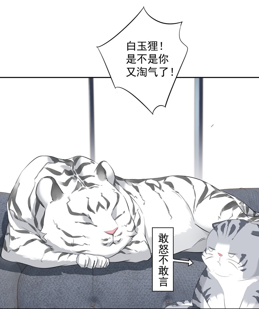 035 rua~老虎毛的手感39