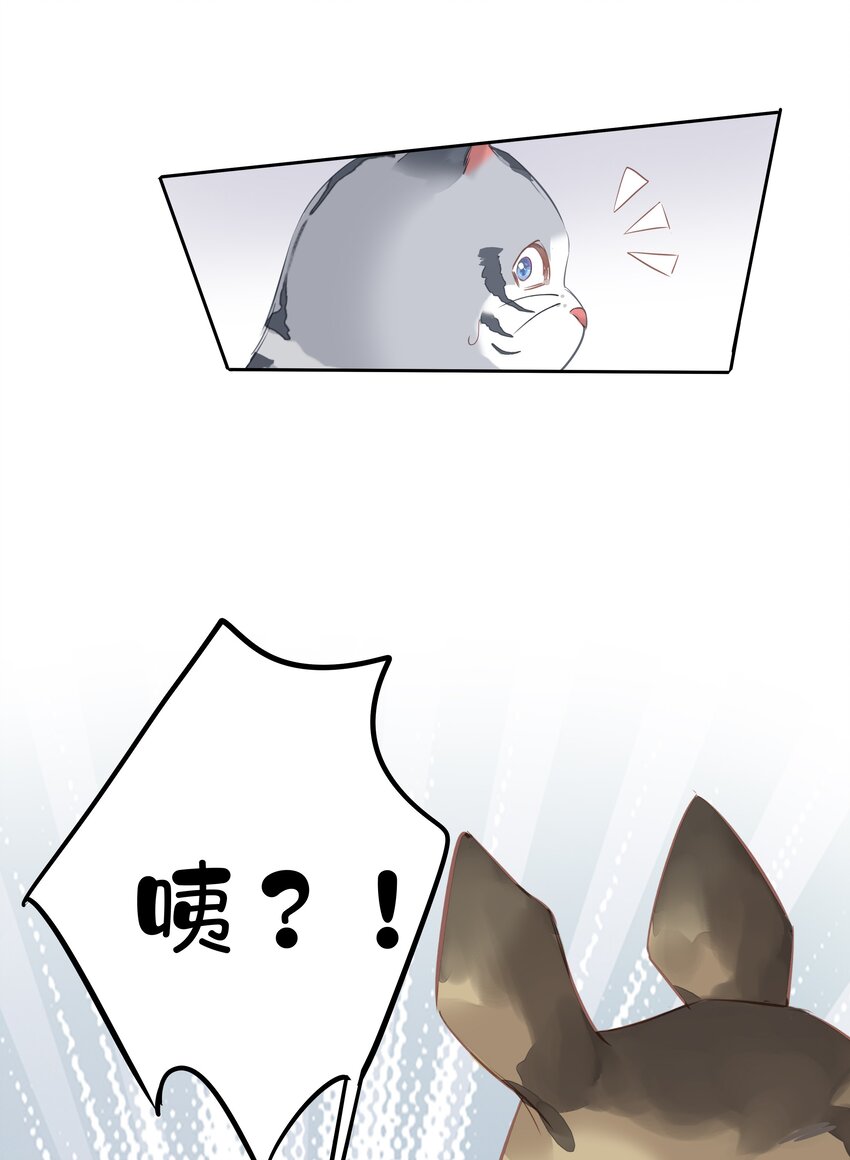 046你老公是伯爵啊45