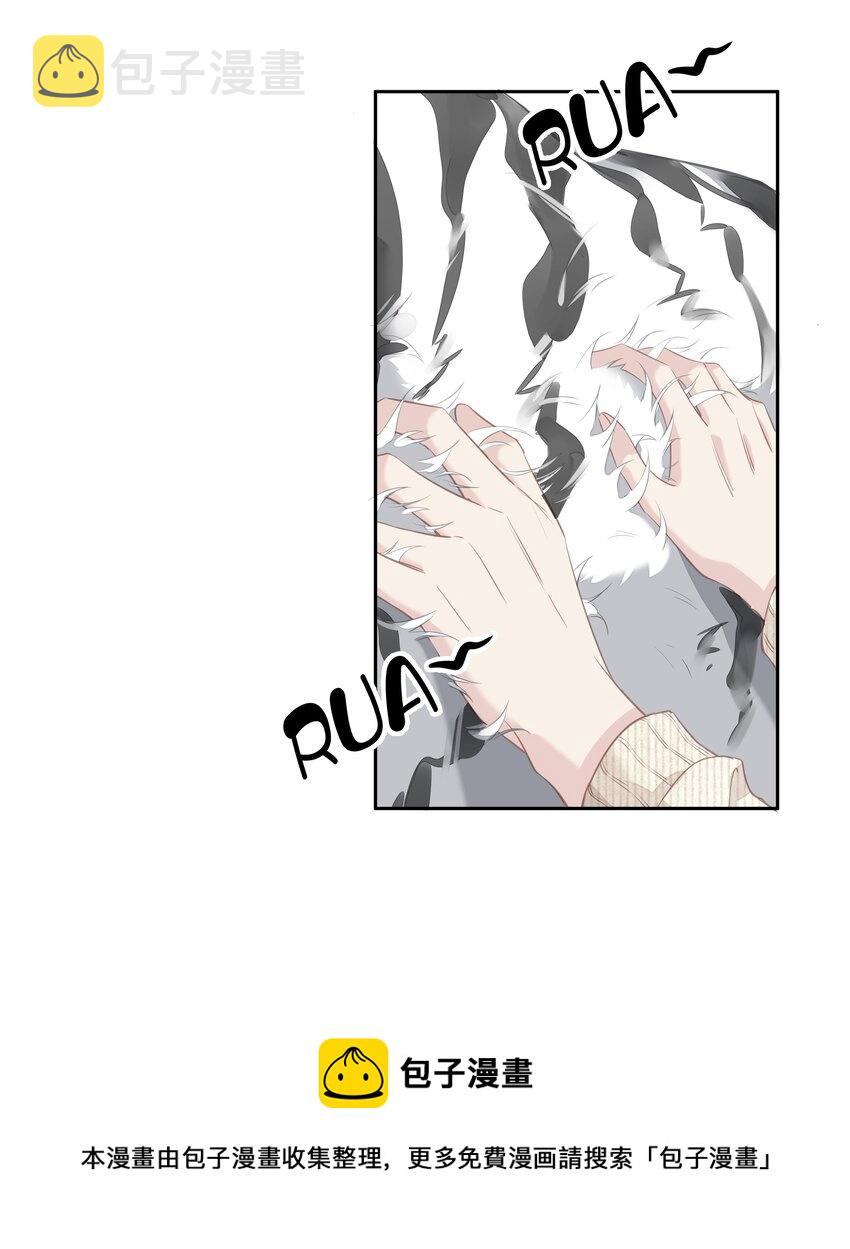 035 rua~老虎毛的手感20