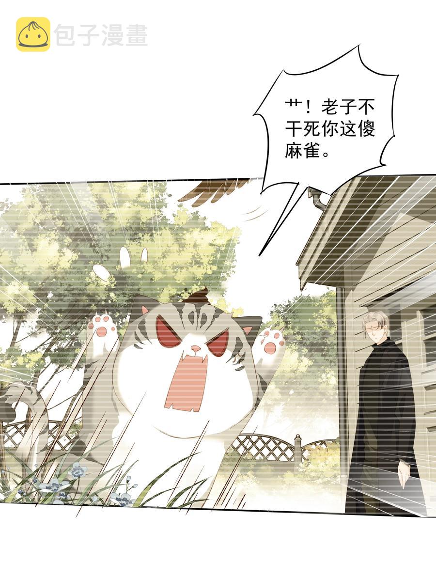 022 白玉狸35