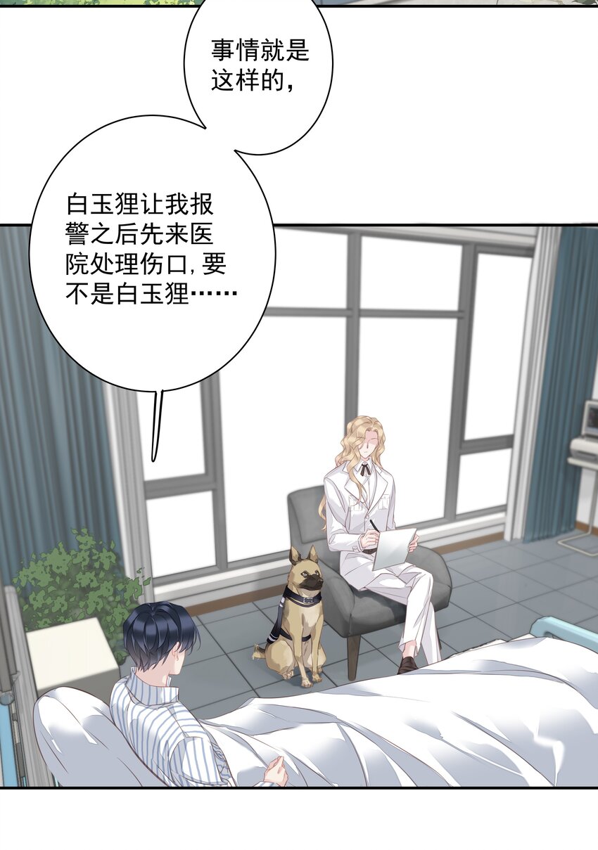 036 黑背出场！41