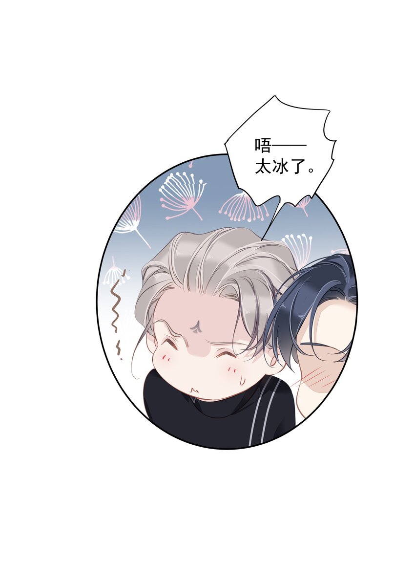 044众筹猫粮42