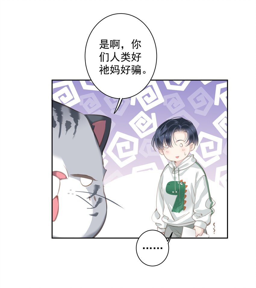 044众筹猫粮4