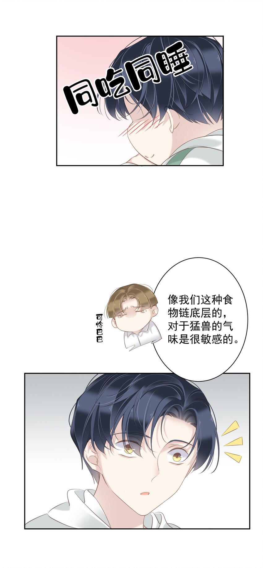 041 让脏话猫自己找吃的10