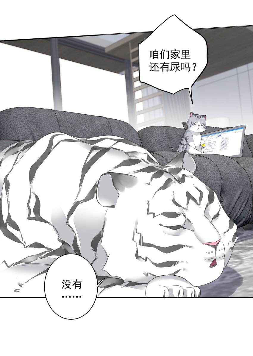 035 rua~老虎毛的手感59