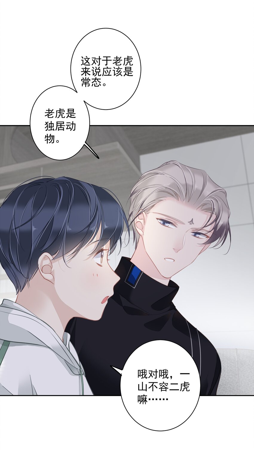 044众筹猫粮16