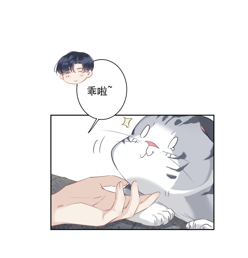 047白玉狸去上学37
