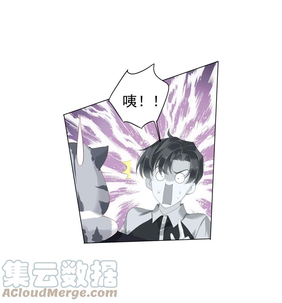 022 白玉狸22