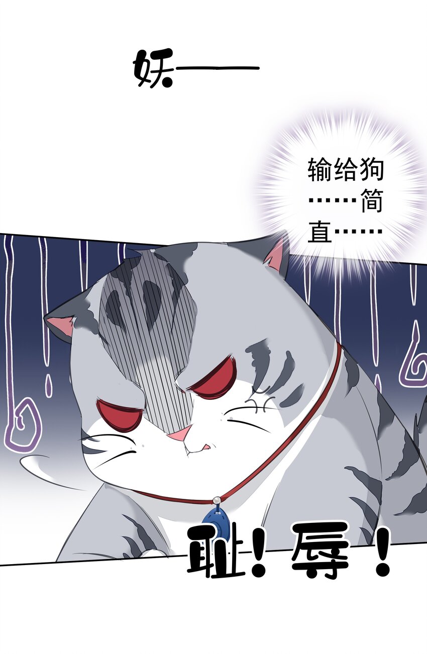 035 rua~老虎毛的手感53