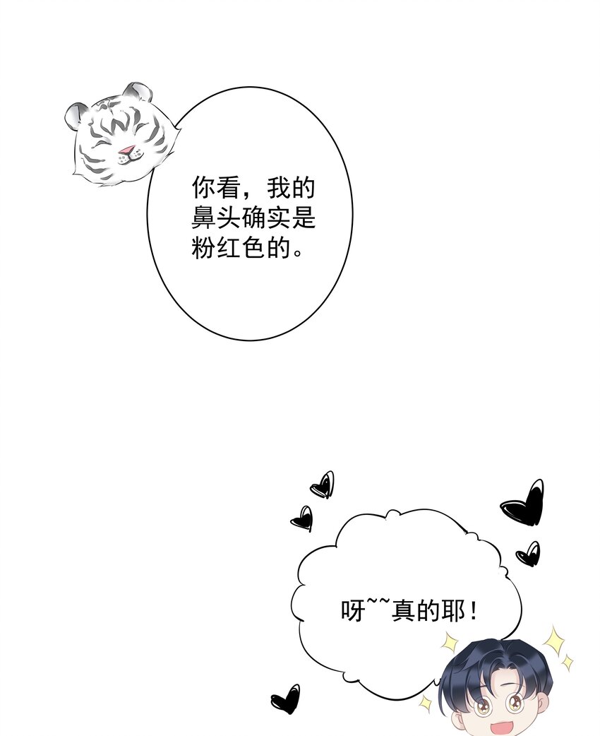 035 rua~老虎毛的手感22
